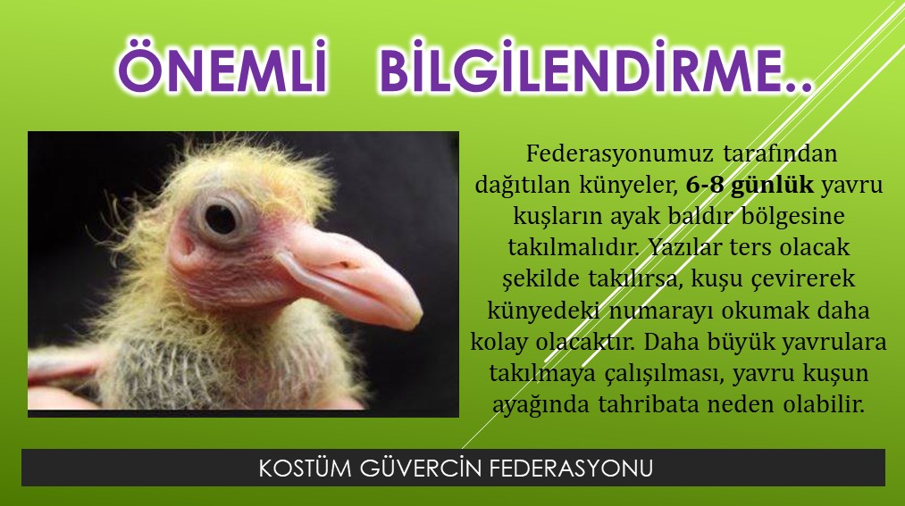 Künyeleme